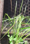 IMG_20231008_113946.jpg