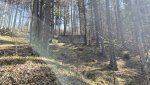20250412_102943.jpg