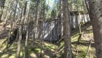 20250412_110304.jpg
