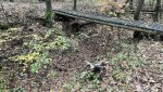 IMG_5945.jpeg