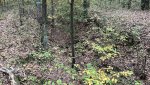 IMG_5944.jpeg