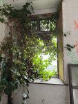 IMG_7612.jpeg