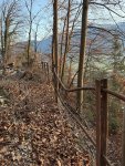 IMG_6603.jpeg