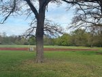 IMG_2026-04-18-174843.jpeg