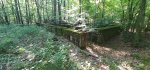 20260622_085226.jpg