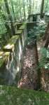 20260622_085326.jpg