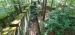 20260622_085332.jpg