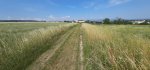 20260622_094704.jpg
