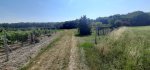 20260622_094722.jpg