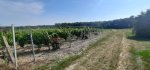 20260622_094728.jpg