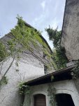 IMG_3796.jpeg
