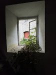 IMG_3800.jpeg