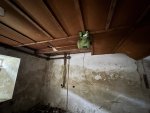 IMG_3799.jpeg