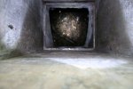 IMG_9666 - Kopie.jpg
